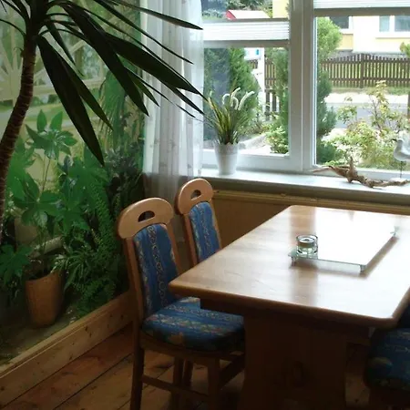 Regina ツィノヴィッツ