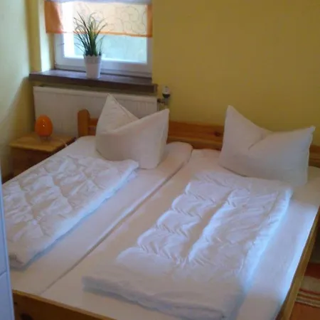 Regina ツィノヴィッツ